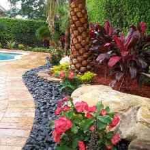 Landscape Ideas