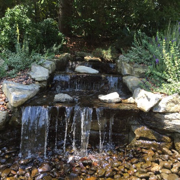 Lush Landscape