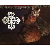 Mollee Sheehan's photo