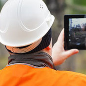 Treework Environmental Practice's photo