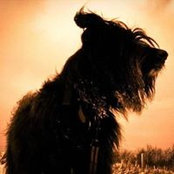 Phillip Boyling's photo