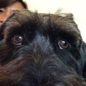 Leah Eckelberger's photo