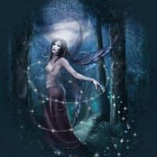 Sharon Bevacqua Klein's photo