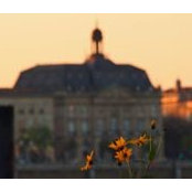 Yassine Benihoud's photo