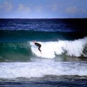 Evan Morley's photo