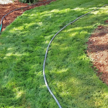 Mission Impossible MakeOver! Specimen Trees & Patio Down Extreme Slope
