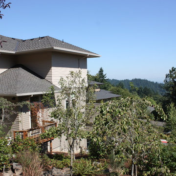Contemporary Craftsman proves Less is More!