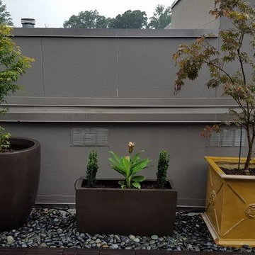 Residential Landscape