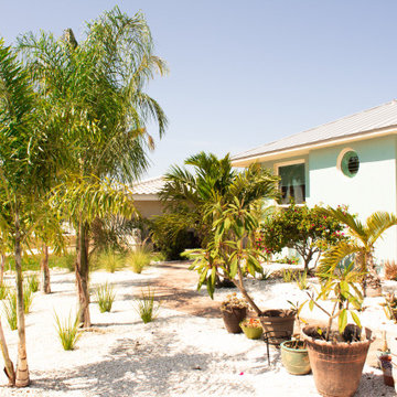 Tropical Design & Installation - West Bradenton
