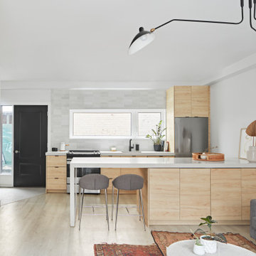 Dufferin Laneway Suite