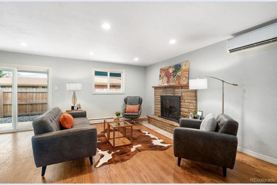 Example of a cottage living room design in Denver