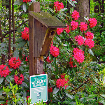 A Gardener's Garden: The Gardens at Soul Safari™
