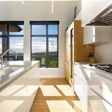 German kitchen cabinets - new Leicht project