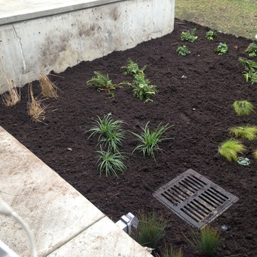 Evergreen coverage among concrete forms