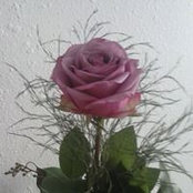 Rebecca Fenner's photo
