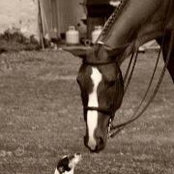 Jill Pasceri's photo