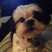 Mike Buchanon's photo