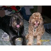 William Chase's photo