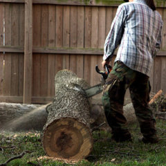 BZ Tree Service