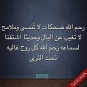 Amr Abd El Aal's photo