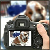 Foto von Kim Windsor