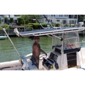 Jim Pronesti's photo