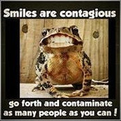 Kim Callahan's photo