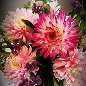 Jennifer McCarthy's photo