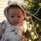 Gwen Fiebelkorn's photo