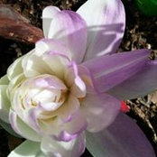 Silvia Agotborde's photo
