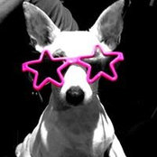Foto von Gidget Coward