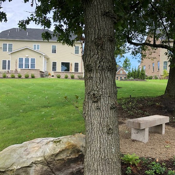 Backyard Patio