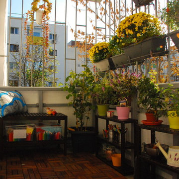Small Urban Oasis
