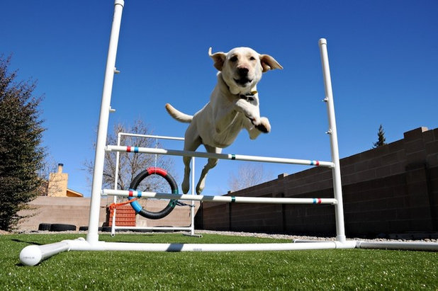 Сад by SYNLawn of Central California, Inc.