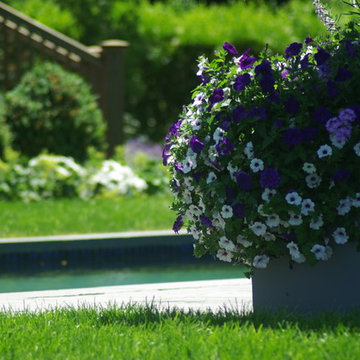 Planters