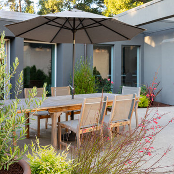 Back Patio Area