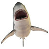 Slick Woody's 60" Shark Teeth Vinyl Underwater Pool Mat Tattoo in Gray