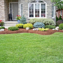 Hammonds landscaping ideas
