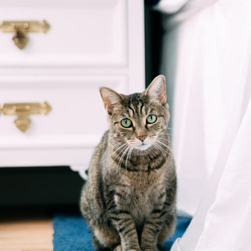 My Houzz: Multipurpose Furniture in a Cozy Downtown D.C. Rental
