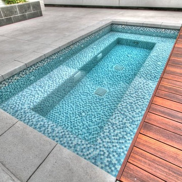 Modern Recreational Oasis Backyard