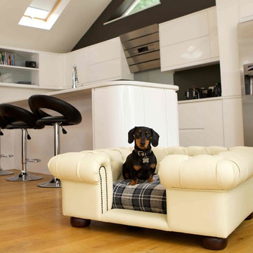 Contemporary kitchen
