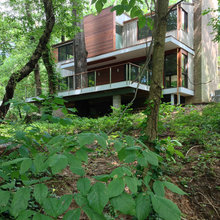 Wooded Lot