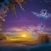 Ana Grama's photo