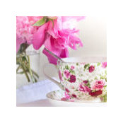 Luann Cahalls foto