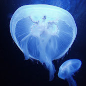 Brad Brown's photo