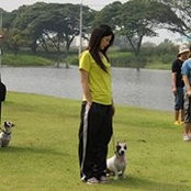เจ้าหมู วุ่นวาย's photo