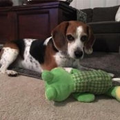 Barb Behrendt's photo