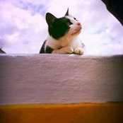 Gm Alonso's photo