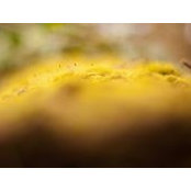 Mike Bicknell's photo