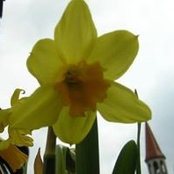 Foto von Nichole Bieber